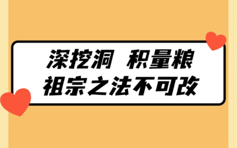 「第45篇」深挖洞,广积粮,祖宗之法不可改哔哩哔哩bilibili