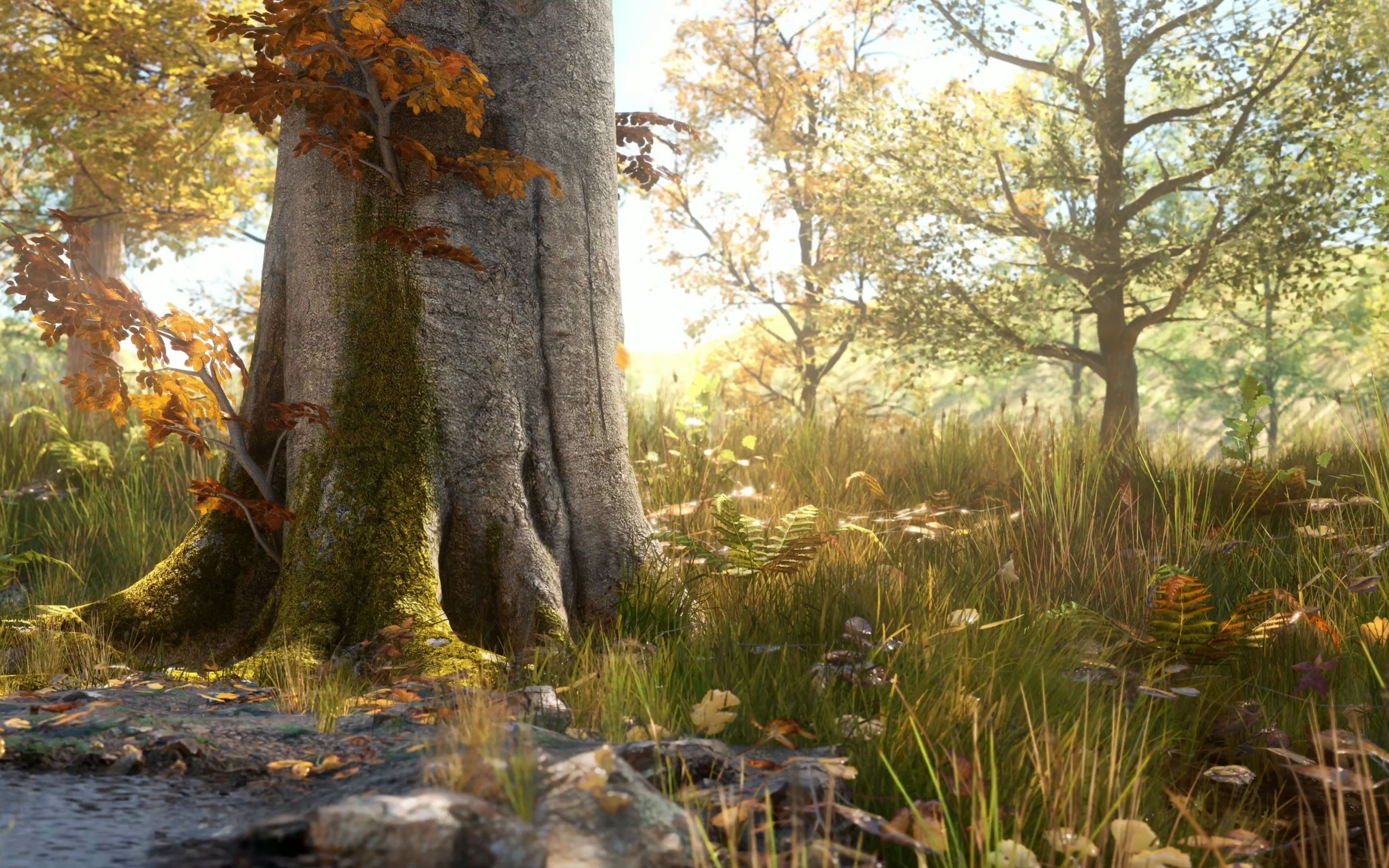 秋【ue4写实场景渲染】