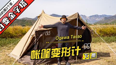 Tasso T/C Ogawa-