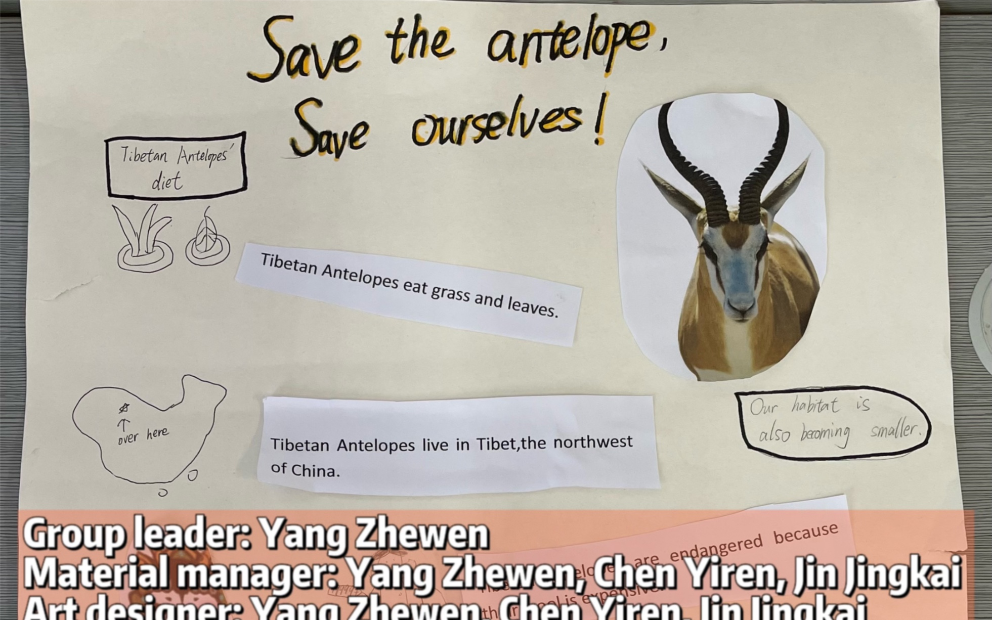 Save the antelope, Save ourselves!哔哩哔哩bilibili