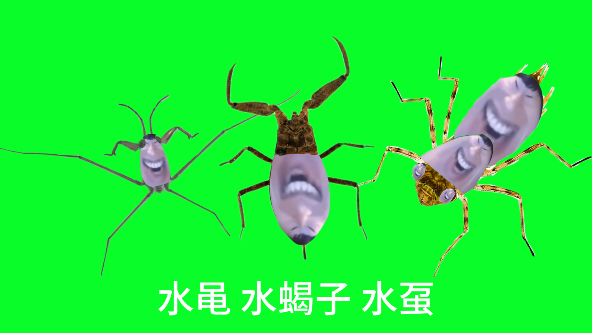 大家好啊,我们是 不会上岸,血流不止和可怜,今天来