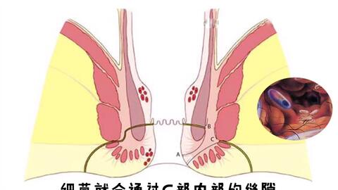 B站