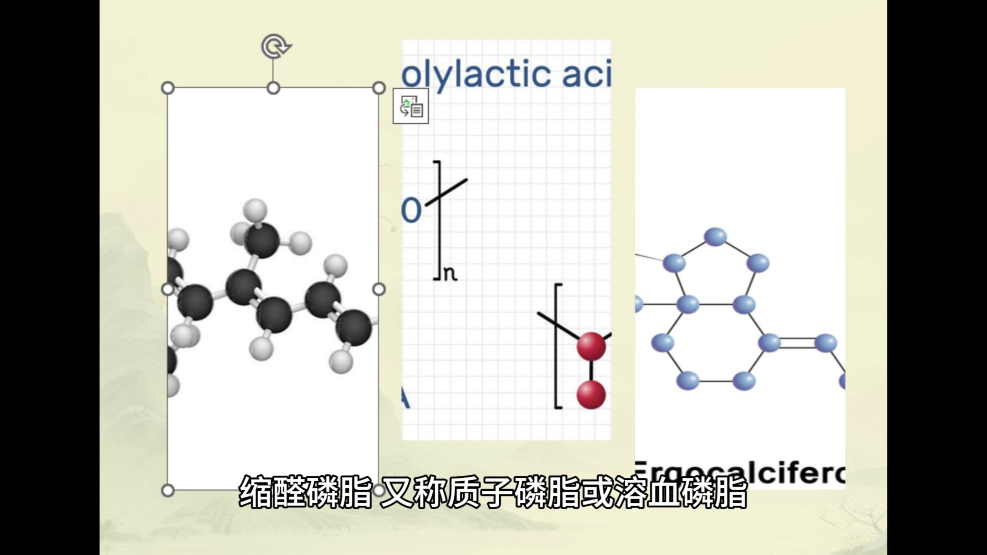 你真的知道缩醛磷脂吗哔哩哔哩bilibili