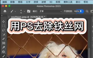 Download Video: PS去除铁丝网