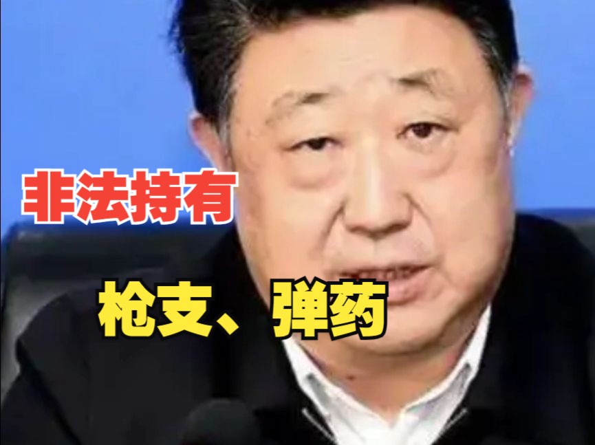 “官场小说家”,非法持有枪支、弹药,情节严重哔哩哔哩bilibili