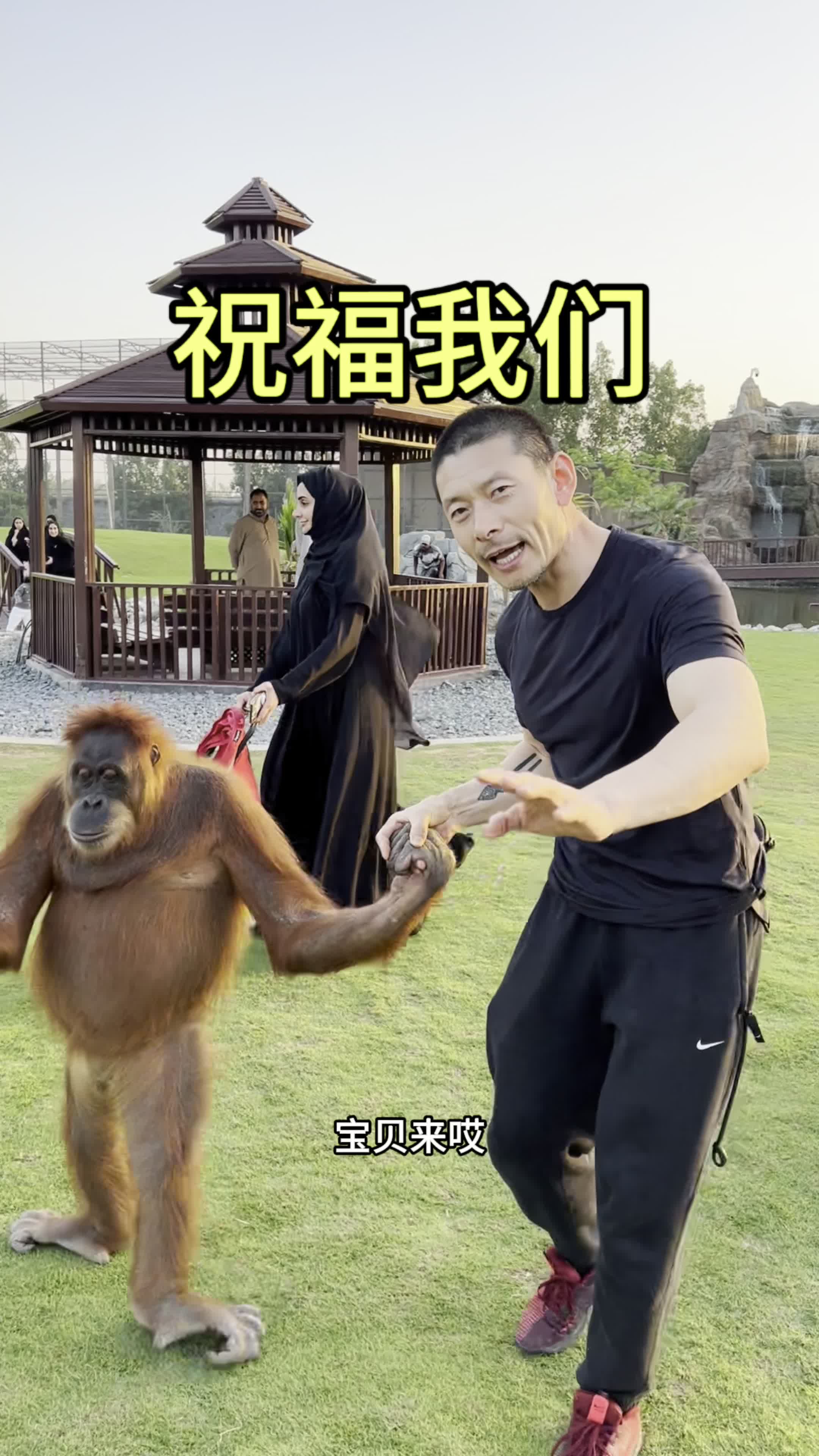 最新视频来袭,快来看看吧!