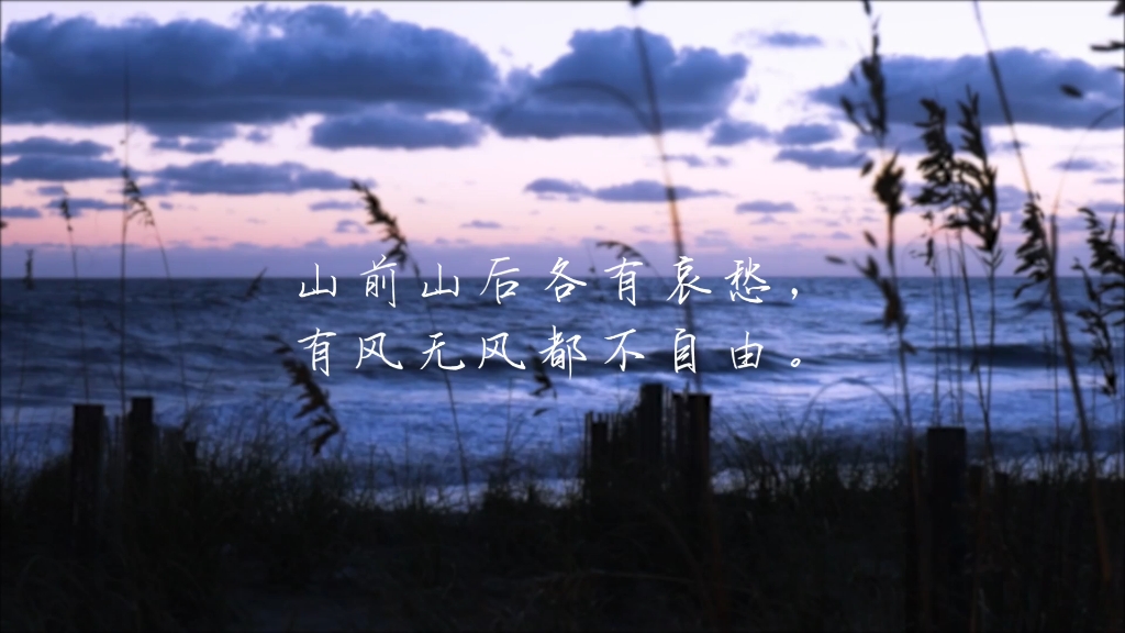 山前山后各有哀愁,有风无风都不自由.