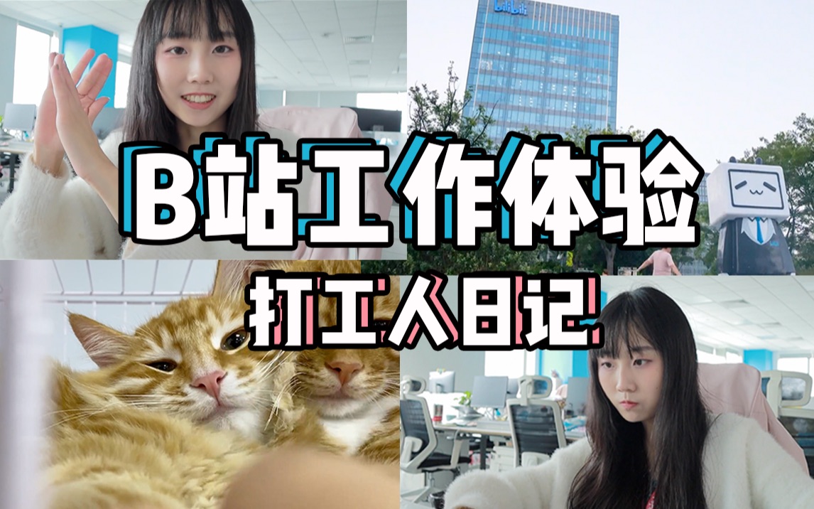 【住在B站针不戳】B站氛围|工作体验|实习收获哔哩哔哩bilibili