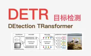 Descargar video: DETR ｜ 1、算法概述