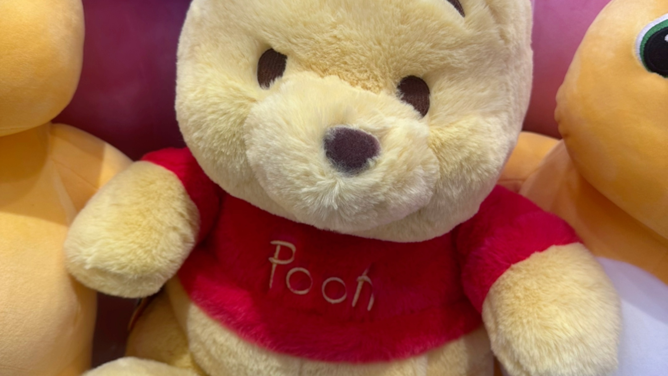 治愈系毛熊日常