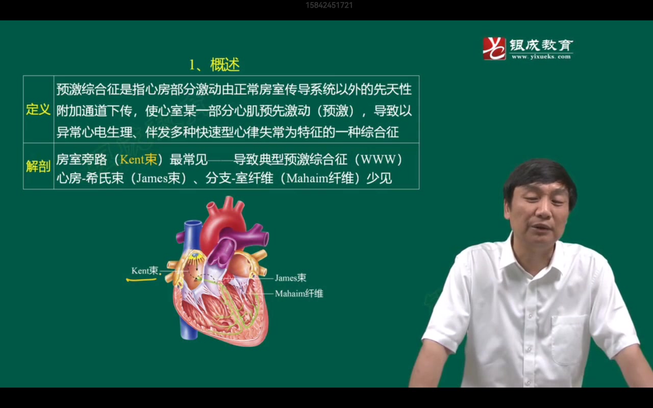 内科学第十章08预激综合征(WPW综合征)哔哩哔哩bilibili