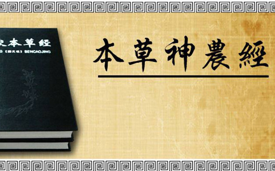 神农本草经倪海夏老师主讲