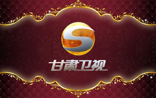 甘肃卫视logo图片