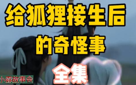 给狐狸接生后的奇怪事