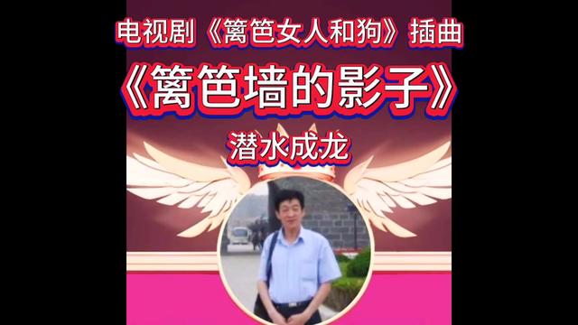 电视剧《篱笆女人和狗》插曲《篱笆墙的影子》 橱窗里有山东大花生米,物美价廉欢迎选购哔哩哔哩bilibili