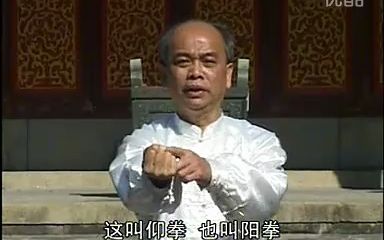 咏春拳鼻祖永春白鹤拳 教学1(基本功法)哔哩哔哩bilibili