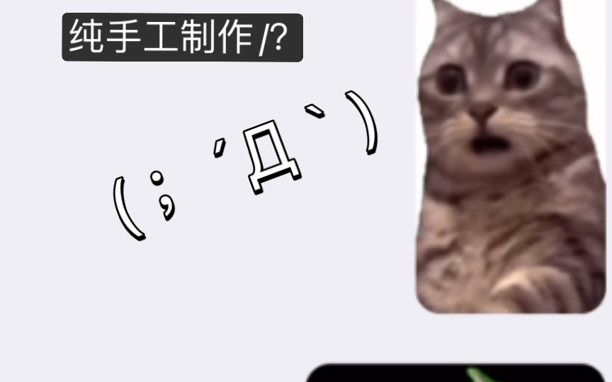 猫meme,但是是GIF表情包?!哔哩哔哩bilibili