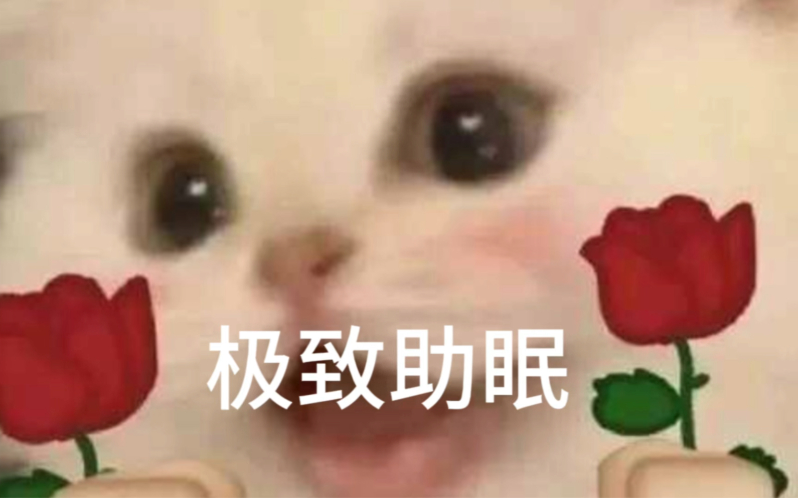 食饵(助眠音)呼呼大睡哔哩哔哩bilibili