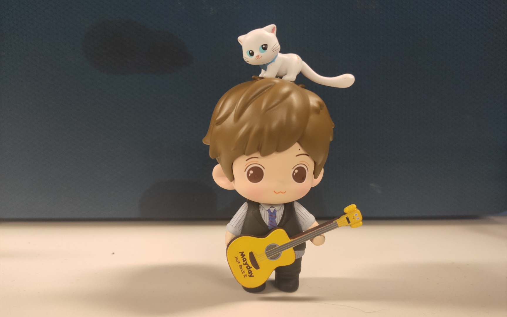【开箱】弹吉他的阿信和猫