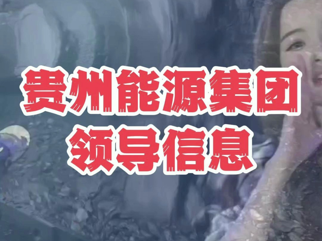 贵州能源集团领导信息:胡永忠:党委书记、董事长,兰海平:总经理;龙治安:副总哔哩哔哩bilibili