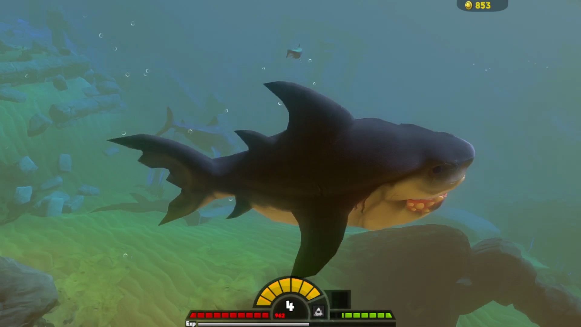 海底大猎杀:超级无敌强的小鲨鱼