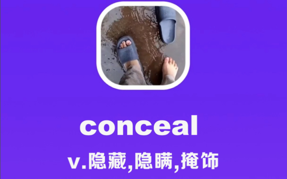 conceal:隐藏,隐瞒,掩饰哔哩哔哩bilibili