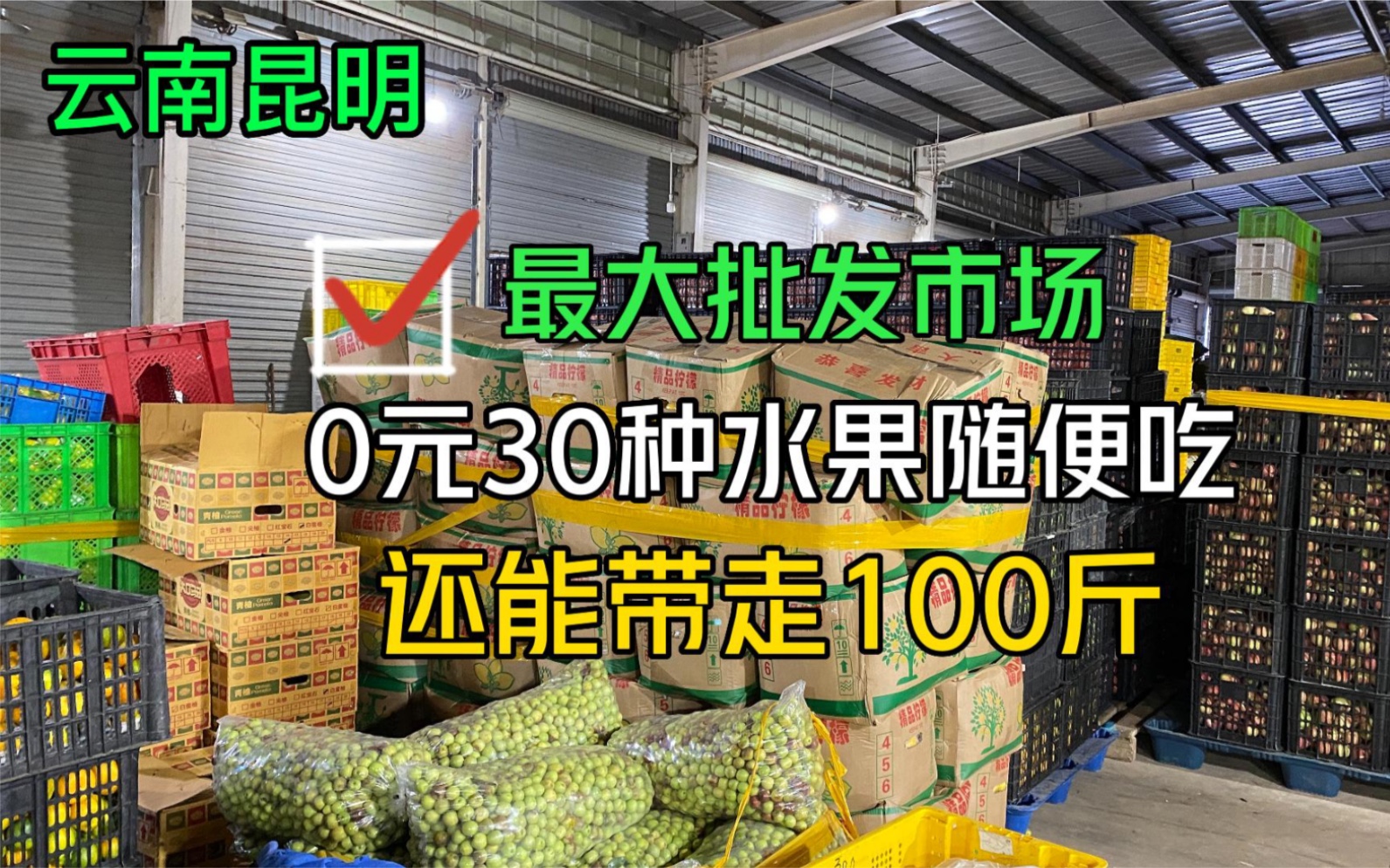 潜入云南最大水果批发市场,0元实现30种水果自由,还能带走100斤?却发现它们属于农户扶贫哔哩哔哩bilibili