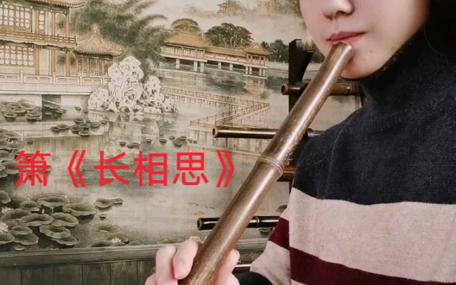 g箫长相思某宝搜梦兮紫竹箫