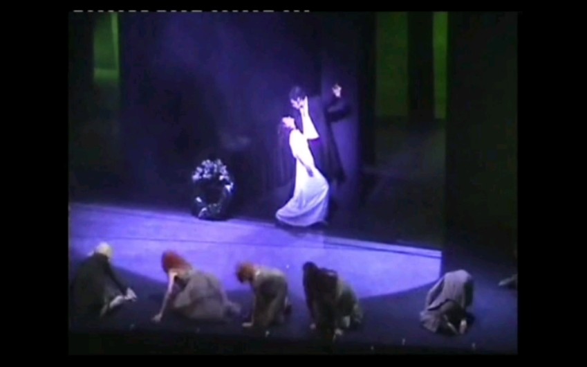 [图]【德古拉】Dracula Das Musical--Drew Saric / Caroline Vasicek--Leb noch einmal