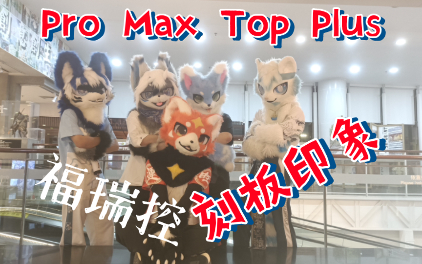 【小煌片】福瑞控的超超超超级刻板印象Pro Max Top PlusP2哔哩哔哩bilibili