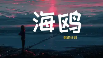 逃跑计划 --《海鸥》  HIFI音质