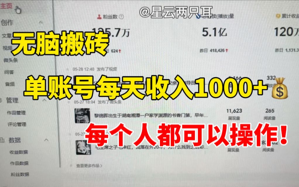 无脑搬砖,单账号每天收入1000+,人人可操作!哔哩哔哩bilibili