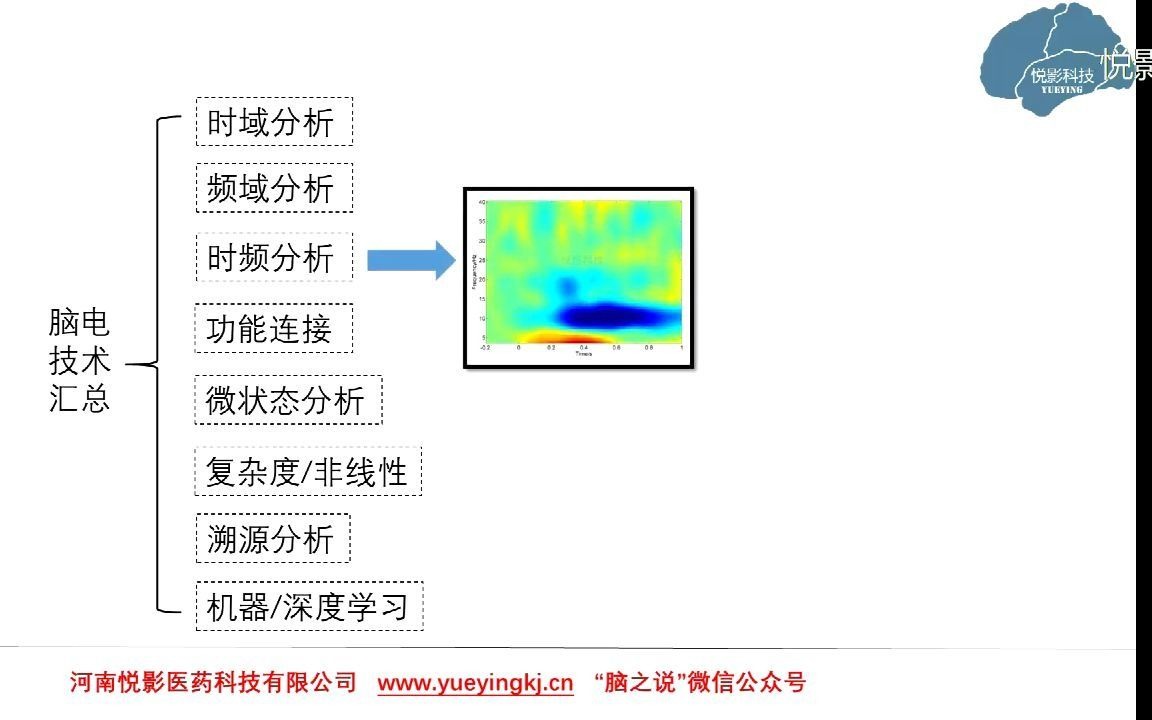 悦影科技EEG/ERP基础知识系列讲座第2讲:脑电数据分析技术汇总哔哩哔哩bilibili