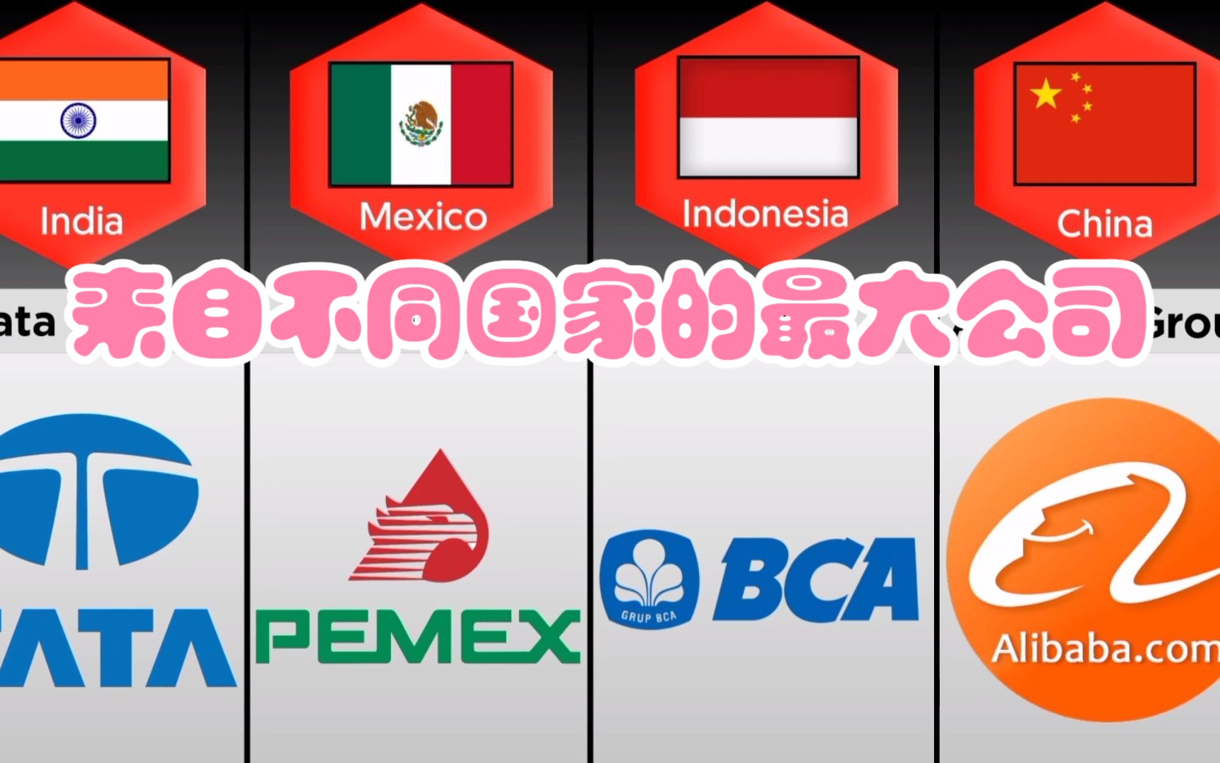 来自不同国家的最大公司 Largest Companies From Different Countries哔哩哔哩bilibili