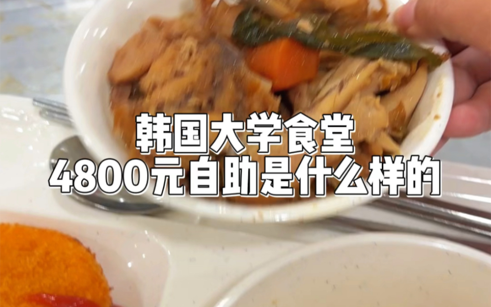 韩国大学食堂4800元自助是什么样的|美国食堂博主初尝试哔哩哔哩bilibili