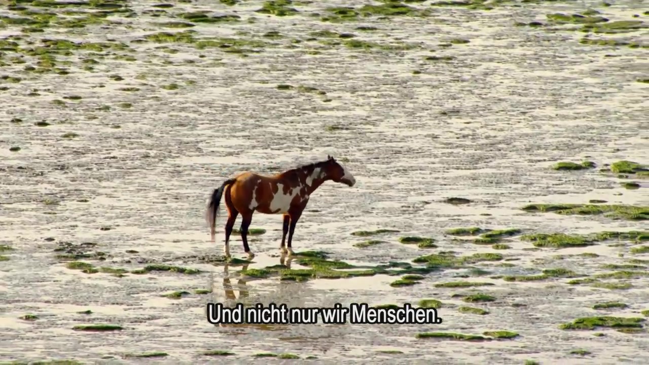 [图]Germany from above -(鸟瞰德国)