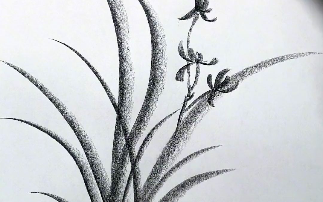 简单几笔画兰花#零基础学画画 #炭笔画 #一学就会系列 #炭笔风景画