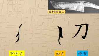 33 米 小米粒太难了 趣味识字汉字演变 甲骨文 笔画描色 字理 哔哩哔哩 Bilibili