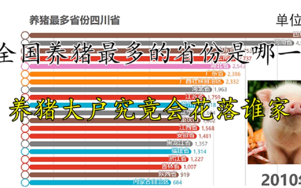 【数据可视化】全国养猪最多的省份,养猪大户的美名花落谁家哔哩哔哩bilibili