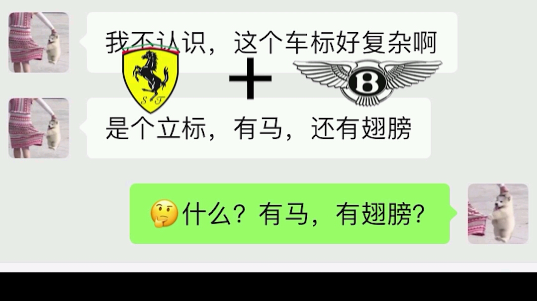 女友又又又撞车之立标式飞马标哔哩哔哩bilibili