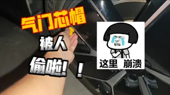 Download Video: 气门芯帽被偷啦！！！！！