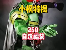 Download Video: 【250福袋】w厨狂喜，250直接小毕业！？ #小枫特摄 #假面骑士福袋 #万代