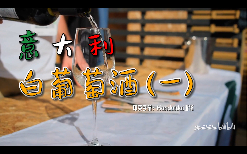 [中英字幕] 意大利白葡萄酒(一) 北部地区|Alti Wine Exchange意大利04哔哩哔哩bilibili