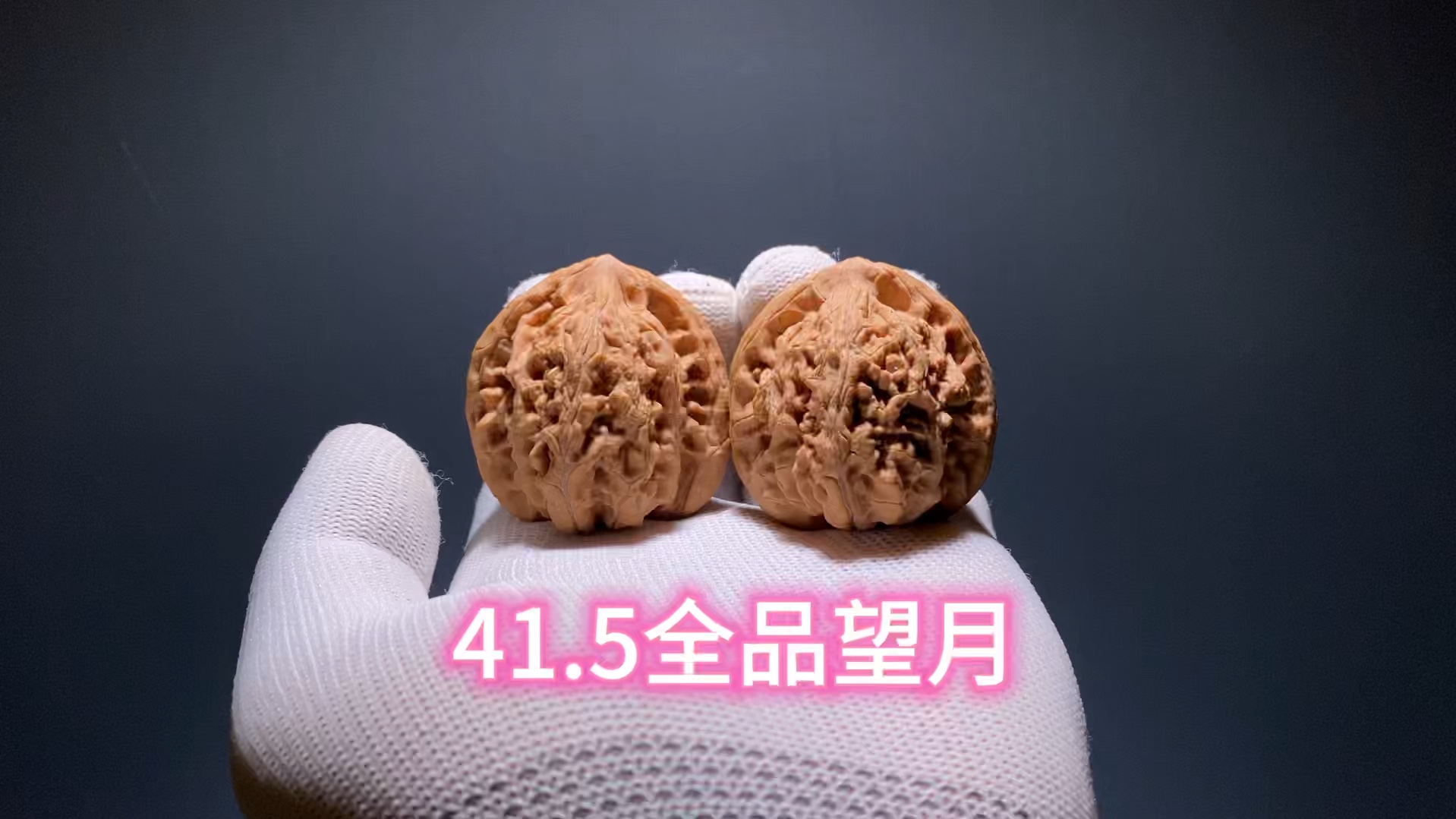 5全品望月狮子头.41.5701539701542.全品无修,无药无夹板.