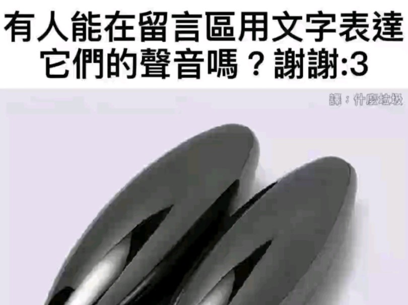 有人可以用文字来表达它的声音吗?谢谢.哔哩哔哩bilibili