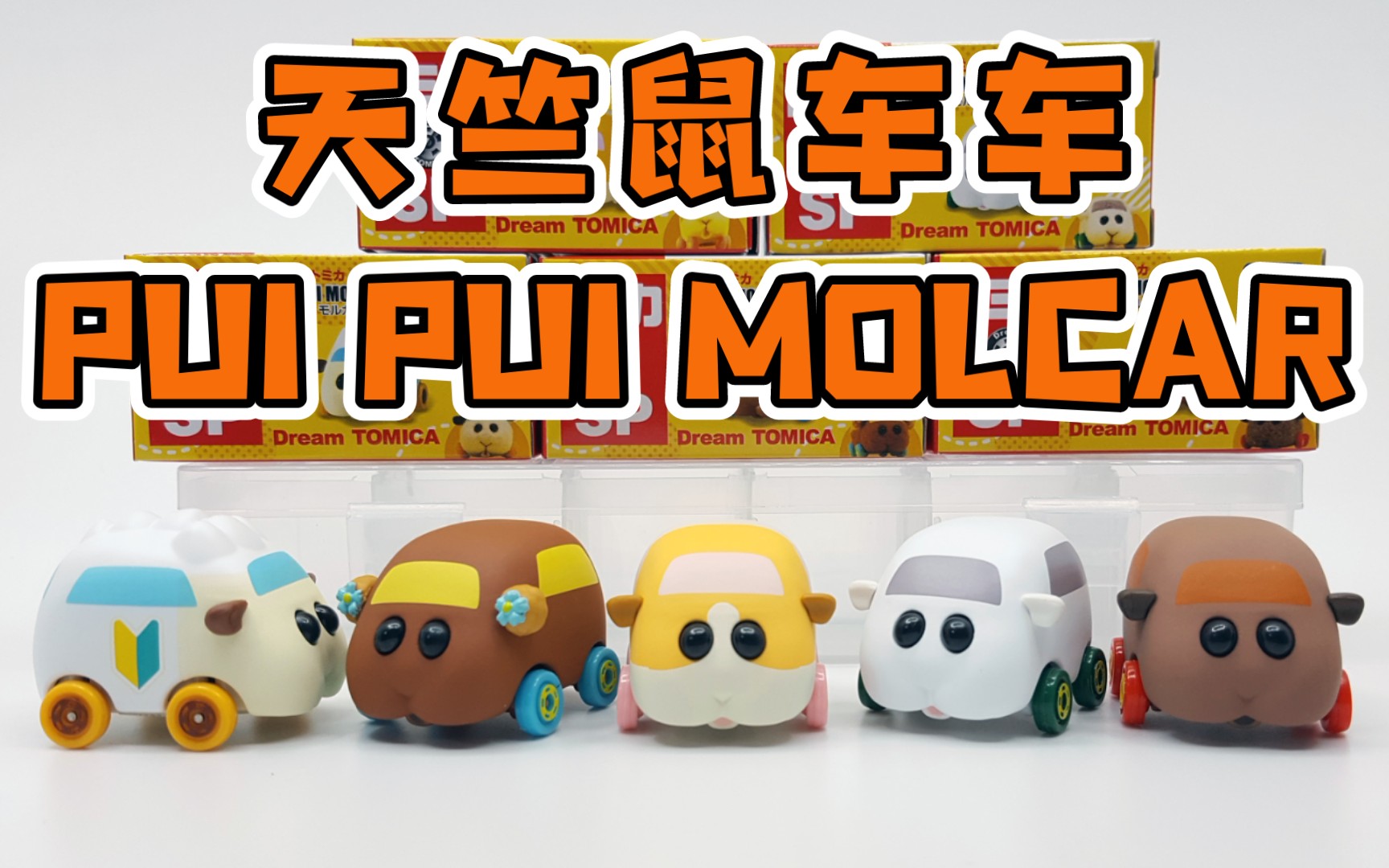 【东知】天竺鼠车车 多美卡周边玩具小车 pui pui molcar