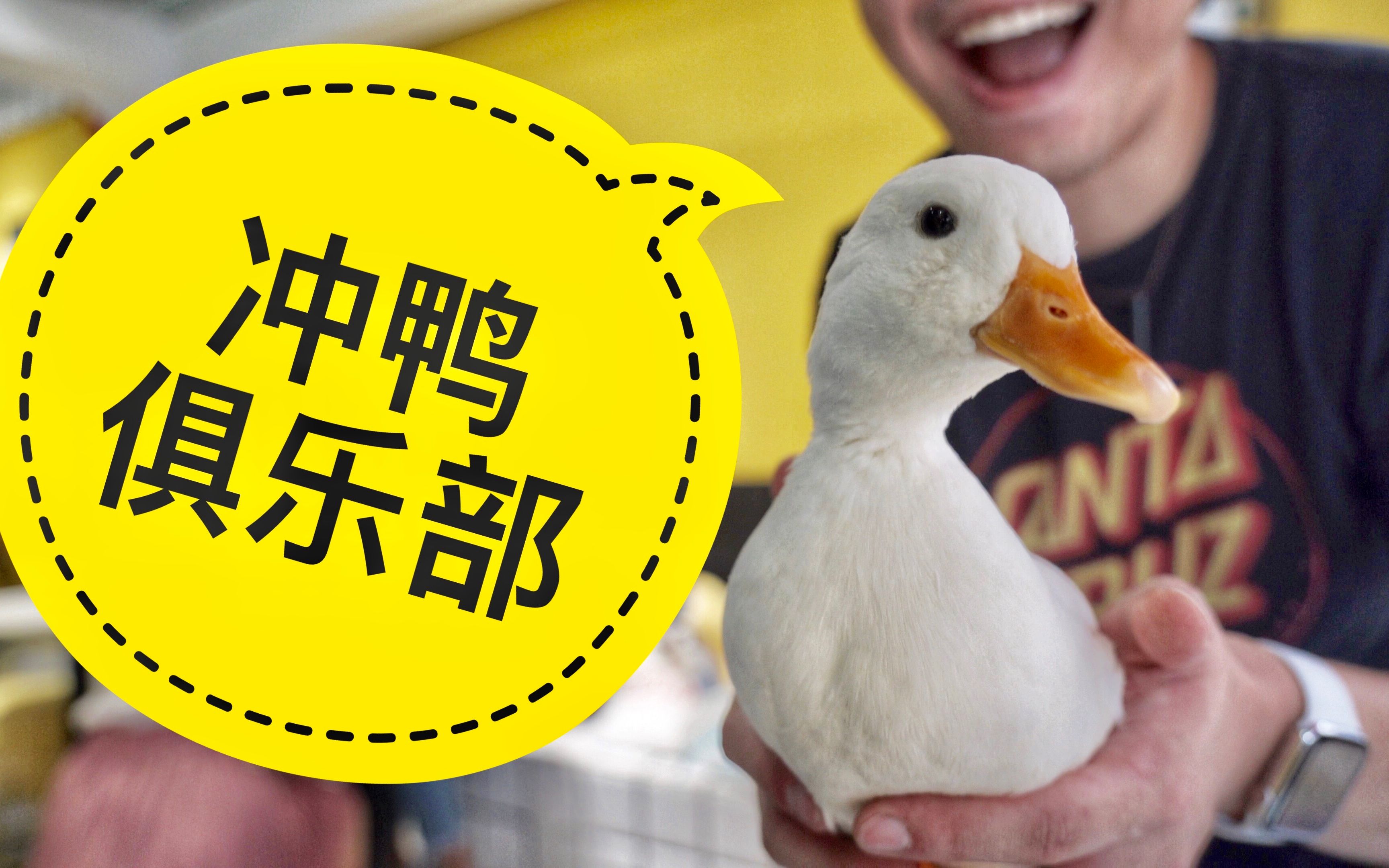 【猫本一探】冲鸭俱乐部 鸭子小猪主题餐厅探店vlog(预告)_哔哩哔哩