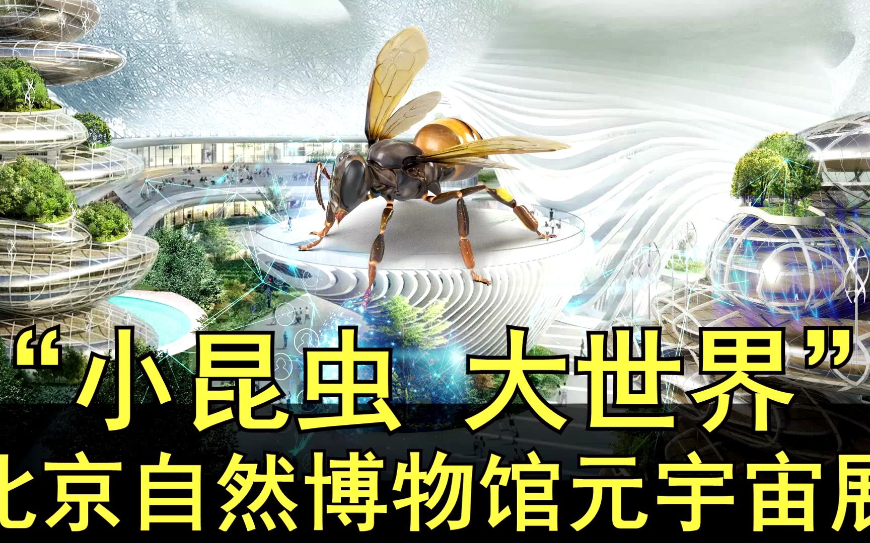 元一用户案例-小昆虫大世界北京自然博物馆