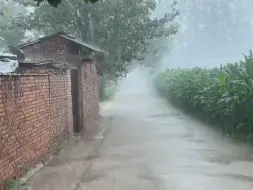 Скачать видео: 小时候就很期待这种天气，喜欢很狂的风，很大的雨，还有很响的雷..#农村老家 ＃乡愁记忆