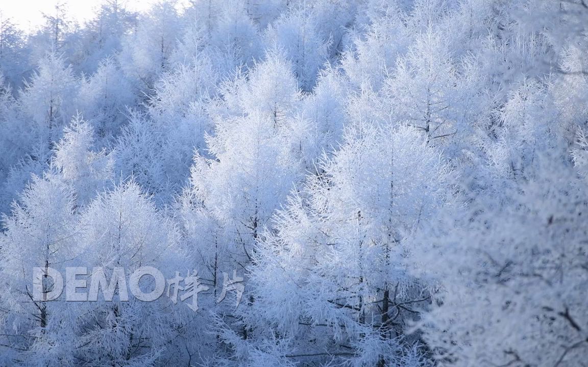 [图]视频素材 ▏h480 2K画质冬天下雪雪景唯美空镜头超清特写冬季树叶上的雪花积雪雪花飘落冰雪奇缘儿童元旦晚会公司年会春晚晚会节目大屏幕舞台LED背景视频素材